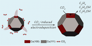 Graphical abstract: Gas-induced controllable synthesis of the Cu(100) crystal facet for the selective electroreduction of CO2 to multicarbon products