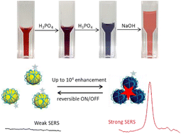 Graphical abstract: Strongly coupled plasmonic metal nanoparticles with reversible pH-responsiveness and highly reproducible SERS in solution