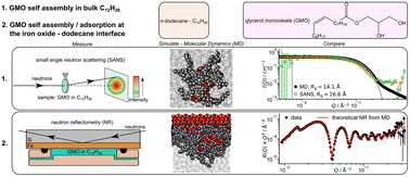 Graphical abstract: Experimental and simulation study of self-assembly and adsorption of glycerol monooleate in n-dodecane with varying water content onto iron oxide