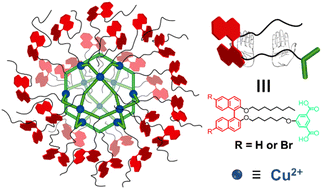 Graphical abstract: Chiral metal–organic cages decorated with binaphthalene moieties