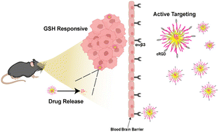 Graphical abstract: Sensitizing chemotherapy for glioma with fisetin mediated by a microenvironment-responsive nano-drug delivery system