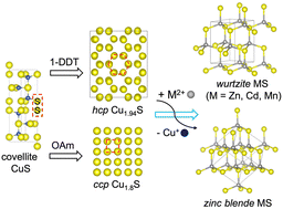 Graphical abstract: Pre-phase transition of a Cu2−xS template enables polymorph selective synthesis of MS (M = Zn, Cd, Mn) nanocrystals via cation exchange reactions