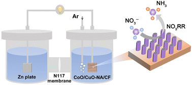 Graphical abstract: Electrocatalytic nitrate-to-ammonia conversion on CoO/CuO nanoarrays using Zn–nitrate batteries