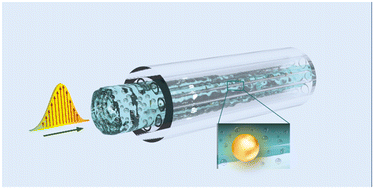 Graphical abstract: Thermo-optics of gilded hollow-core fibers