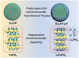 Graphical abstract: One-step regeneration and upgrading of spent LiFePO4 cathodes with phytic acid