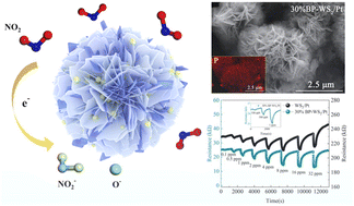 Graphical abstract: Pt and black phosphorus co-modified flower-like WS2 composites for fast NO2 gas detection at low temperature