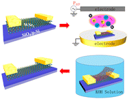 Graphical abstract: Potassium hydroxide treatment of layered WSe2 with enhanced electronic performances