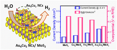 Graphical abstract: Insights of the efficient hydrogen evolution reaction performance in bimetallic Au4Cu2 nanoclusters
