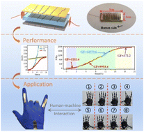 Graphical abstract: A double-crack structure for bionic wearable strain sensors with ultra-high sensitivity and a wide sensing range