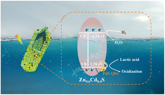 Graphical abstract: Interfacial electric field construction of hollow PdS QDs/Zn1−xCdxS solid solution with enhanced photocatalytic hydrogen evolution