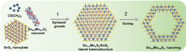 Graphical abstract: Metal chalcogenide nanorings for temperature–strain dual-mode sensing