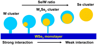Graphical abstract: Atomic insight into the effects of precursor clusters on monolayer WSe2