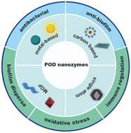 Graphical abstract: Advanced nanozymes possess peroxidase-like catalytic activities in biomedical and antibacterial fields: review and progress