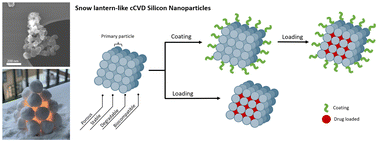 Graphical abstract: Stable “snow lantern-like” aggregates of silicon nanoparticles suitable as a drug delivery platform