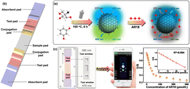 Graphical abstract: A sensitive lateral flow test strip sensor for visual detection of acid red 18 in food using bicentric-emission carbon dots