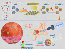 Graphical abstract: Janus mesoporous organosilica/platinum nanomotors for active treatment of suppurative otitis media