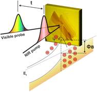 Graphical abstract: Optical spectroscopic detection of Schottky barrier height at a two-dimensional transition-metal dichalcogenide/metal interface
