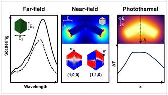 Graphical abstract: Far-field, near-field and photothermal response of plasmonic twinned magnesium nanostructures