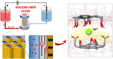 Graphical abstract: Selective ion transport in large-area graphene oxide membrane filters driven by the ionic radius and electrostatic interactions