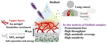 Graphical abstract: Hierarchical superstructure aerogels for in situ biofluid metabolomics