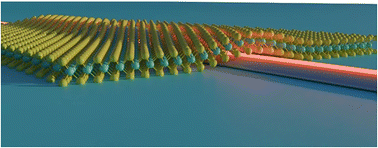 Graphical abstract: Giant optical absorption of a PtSe2-on-silicon waveguide in mid-infrared wavelengths