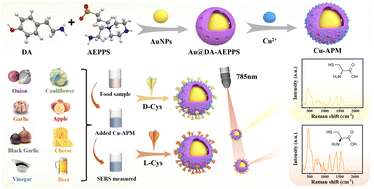 Graphical abstract: Metal-assisted core–shell plasmonic nanoparticles for small molecule biothiol analysis and enantioselective recognition