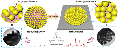Graphical abstract: Nanogap engineering of 3D nanoraspberries into 2D plasmonic nanoclusters toward improved SERS performance