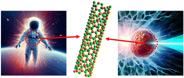 Graphical abstract: Growth methodologies of boron nitride nanotubes and their neutron shielding applications: a review