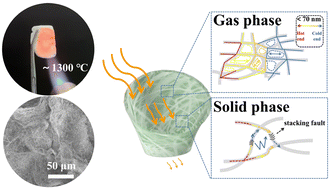 Graphical abstract: Biomass-derived lightweight SiC aerogels for superior thermal insulation