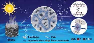 Graphical abstract: Boron nanosheets boosting solar thermal water evaporation