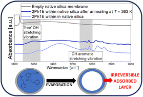 Graphical abstract: The existence of a strongly bonded layer in associating liquids within silica pores – a spectral and molecular dynamics study