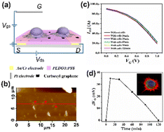 Graphical abstract: Carboxyl graphene modified PEDOT:PSS organic electrochemical transistor for in situ detection of cancer cell morphology
