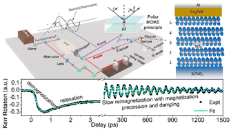 Graphical abstract: Manipulating ultrafast magnetization dynamics of ferromagnets using the odd–even layer dependence of two-dimensional transition metal di-chalcogenides