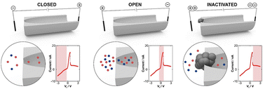 Graphical abstract: Insight into the transport of ions from salts of moderated solubility through nanochannels: negative incremental resistance assisted by geometry