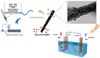 Graphical abstract: A frogspawn inspired twin Mo2C/Ni composite with a conductive fibrous network as a robust bifunctional catalyst for advanced anion exchange membrane electrolyzers