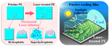 Graphical abstract: A porous micro/nano-structured polyethylene film prepared using a picosecond laser for agricultural passive cooling