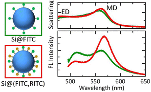 Graphical abstract: Photoluminescence from FRET pairs coupled with Mie-resonant silicon nanospheres