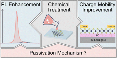 Graphical abstract: Chemical passivation of 2D transition metal dichalcogenides: strategies, mechanisms, and prospects for optoelectronic applications