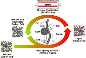 Graphical abstract: Extending the lifetime of vanadium redox flow batteries by reactivation of carbon electrode materials