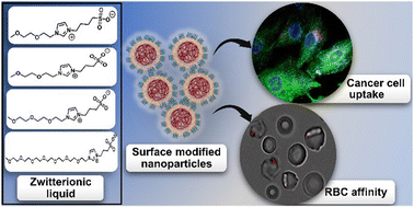 Graphical abstract: Imidazolium-based zwitterionic liquid-modified PEG–PLGA nanoparticles as a potential intravenous drug delivery carrier