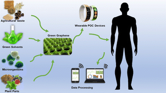 Graphical abstract: Point-of-care devices engaging green graphene: an eco-conscious and sustainable paradigm