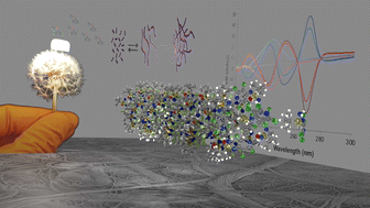 Graphical abstract: Ultralight aerogels via supramolecular polymerization of a new chiral perfluoropyridine-based sulfonimidamide organogelator