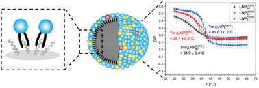 Graphical abstract: Membrane fluidity properties of lipid-coated polylactic acid nanoparticles