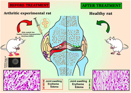 Graphical abstract: Biomaterial-based combinatorial approach of aescin-comprised zein-coated gelatin nanoparticles alleviates synovial inflammation in experimental inflammatory arthritis