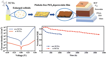 Graphical abstract: Synergistic nucleation regulation using 4,4′,4′′-tris(carbazol-9-yl)-triphenylamine and moisture for stably air-processed high-performance perovskite photodetectors