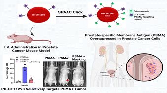 Graphical abstract: PSMA-targeted dendrimer as an efficient anticancer drug delivery vehicle for prostate cancer