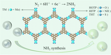 Graphical abstract: Mo-X4 (X = O, NH and S)-mediated triphenylene-based two-dimensional carbon-rich conjugate frameworks for an efficient nitrogen reduction reaction