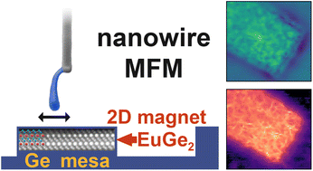 Graphical abstract: Mapping the phase-separated state in a 2D magnet