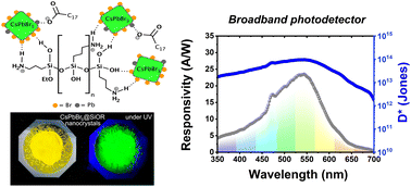 Graphical abstract: Broadband photodetectors from silane-passivated CsPbBr3 nanocrystals by ultrasound-mediated synthesis