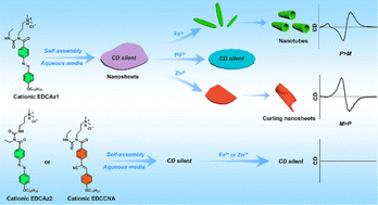 Graphical abstract: Metal-ion-triggered symmetry breaking of completely achiral azobenzene amphiphiles in water